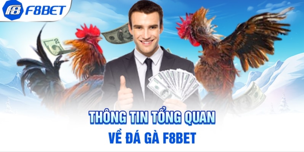 Những điều cần chú ý khi bắt đầu chơi game đá gà F8bet online